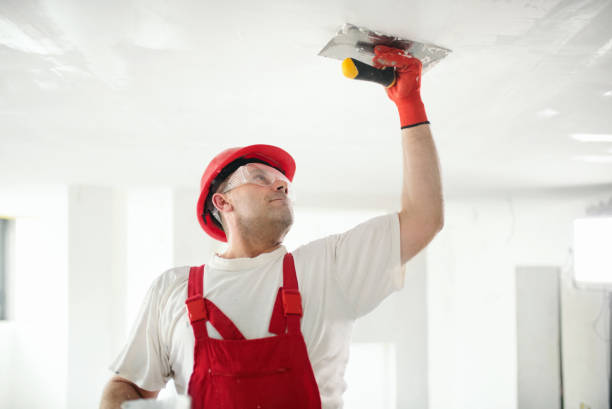 Best Drywall Crack Repair  in USA